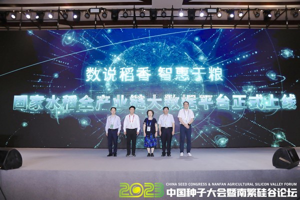 如何走稳中国“稻”路？科技赋能水稻全产业链发展