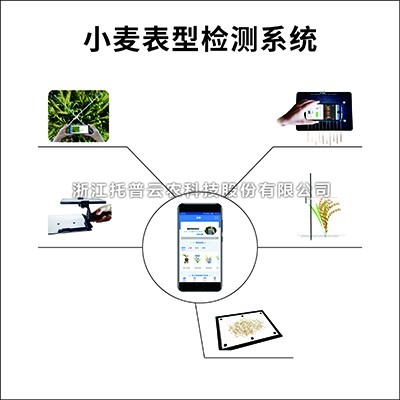 小麦表型检测系统：专业的小麦表型检测仪器