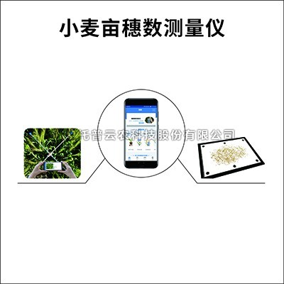 小麦亩穗数测量仪/系统：测量小麦亩穗数的育种测产仪器