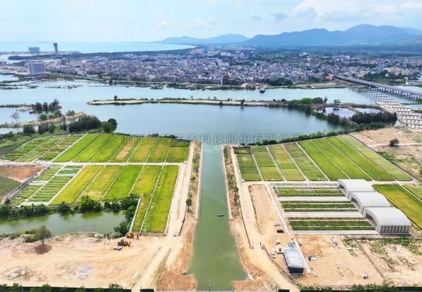 为盐碱地安上“技术芯片”，金年会体育官方网站打造耐盐碱水稻科研试验基地建设解决方案