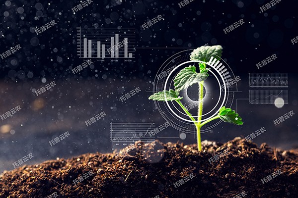 全新启程——金年会体育官方网站为植物表型科研“数智”赋能