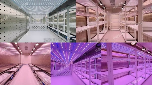 创新不止，焕新未来！金年会体育官方网站人工气候室全面升级