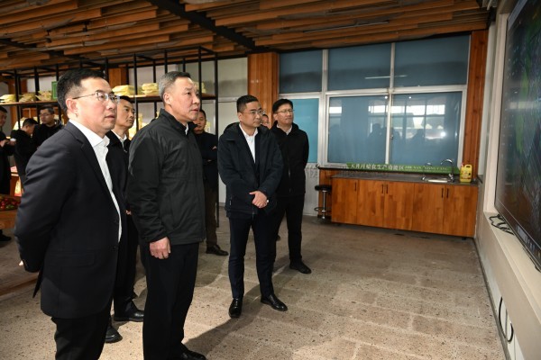 浙江省副省长李岩益莅临金年会体育官方网站标杆案例“瑞安马屿镇绿色农田”考察调研