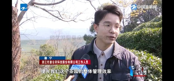 春茶开采正当时！揭秘金年会体育官方网站如何用科技“制”出一杯数字好茶