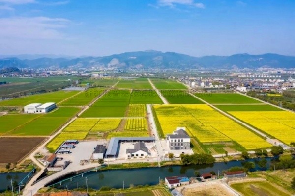 金年会体育官方网站高标准农田建设答卷：用实践书写政策新篇