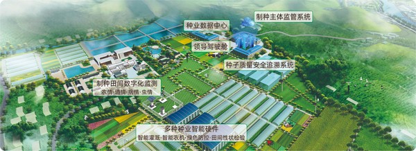金年会体育官方网站数字种业创新应用基地