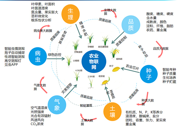 金年会体育官方网站打造的全要素智能采集系统